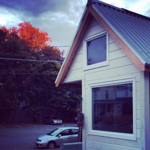 tiny house siding